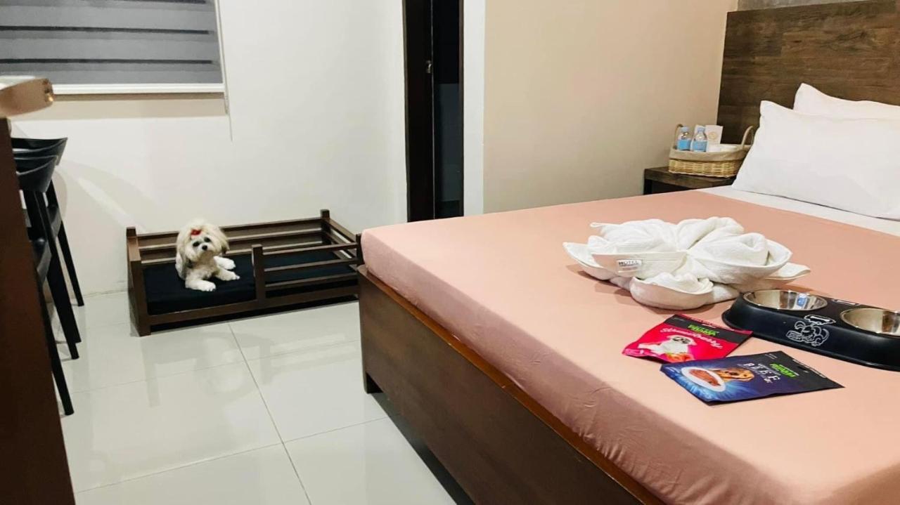 A&E Apartelle Bacolod Exteriör bild