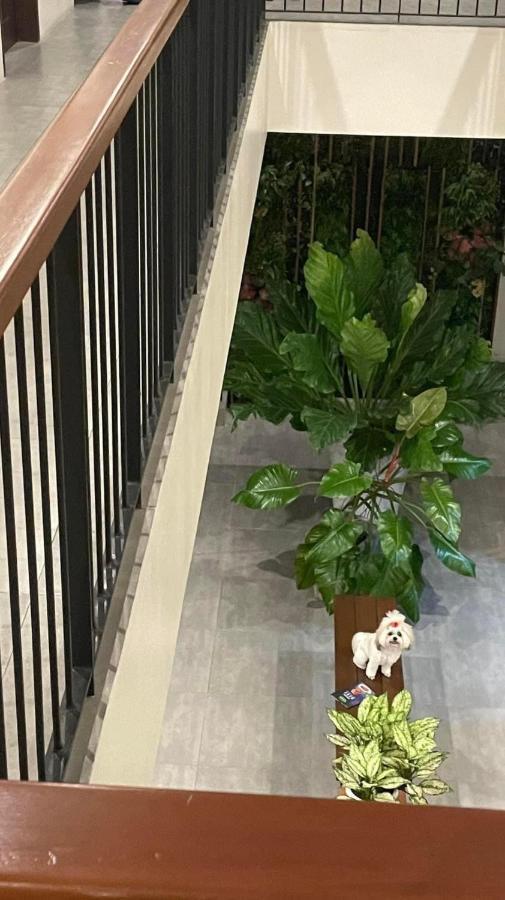 A&E Apartelle Bacolod Exteriör bild